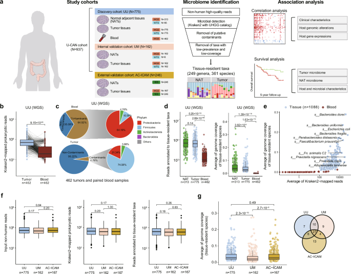Fig. 1: Identification and validation of tissue-resident microbiota in CRC patients.