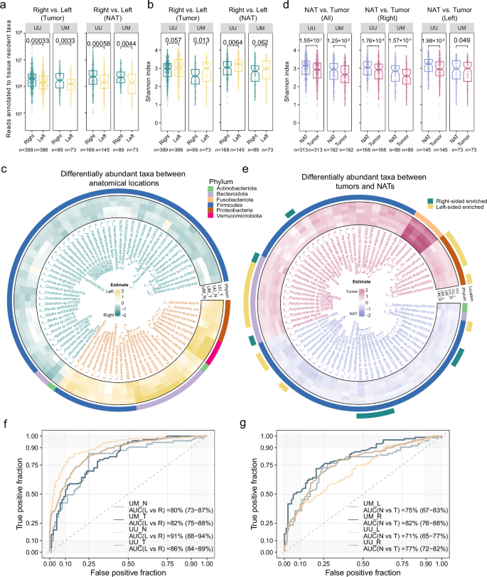 Fig. 2: Tissue-resident microbiome in different anatomical locations of the colon and rectum.