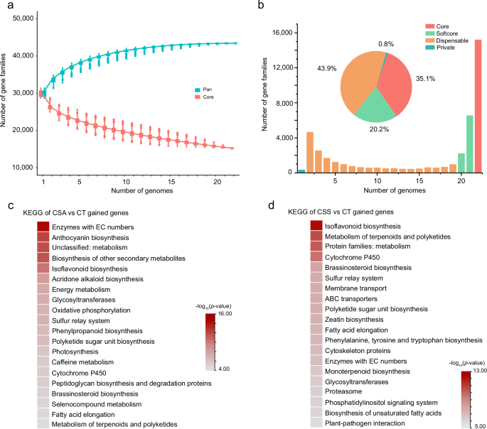 Fig. 2: Pangenome analysis and gene gain/loss patterns.
