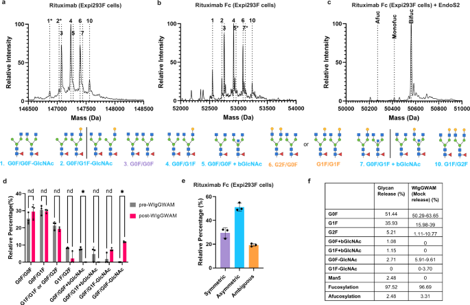 Fig. 3: WIgGWAM identifies both symmetric and asymmetric glycoforms of recombinant Rituximab IgG1.