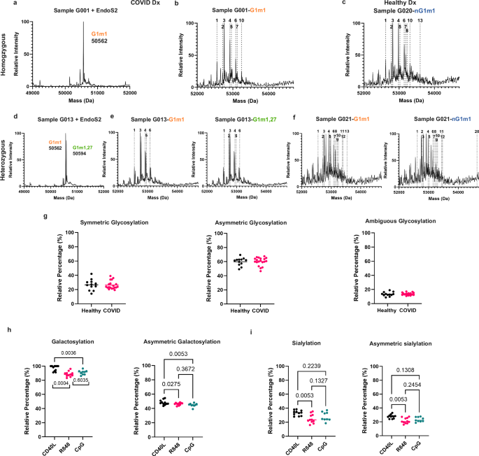 Fig. 5: Asymmetric IgG1 glycosylation is prevalent in every individual human sample and is regulated by the B-cell differentiation pathway.