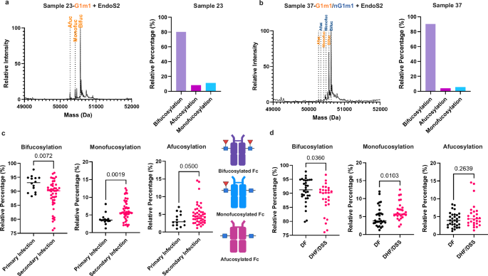 Fig. 6: Monofucosylation of IgG1 antibodies correlates with severity of dengue disease.