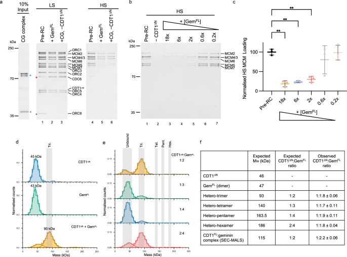Fig. 2: Investigating the oligomerisation state of the CDT1-geminin complex.
