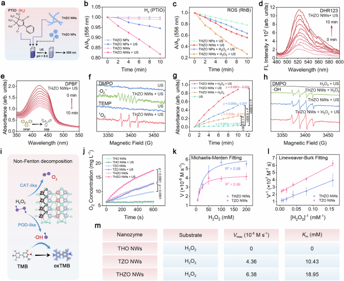 Fig. 4: ROS generation property of THZO NWs.