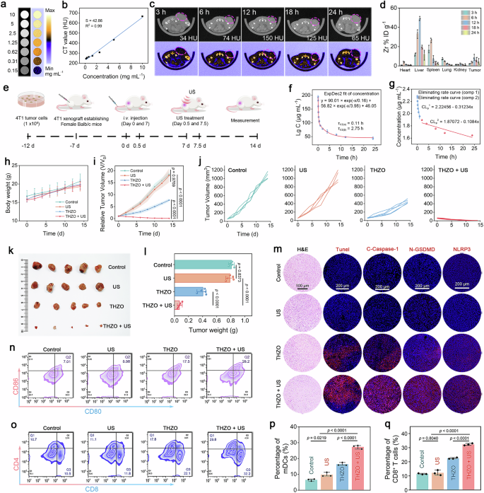 Fig. 6: CT imaging and in vivo efficacy of THZO NWs against 4T1 tumor-bearing model.