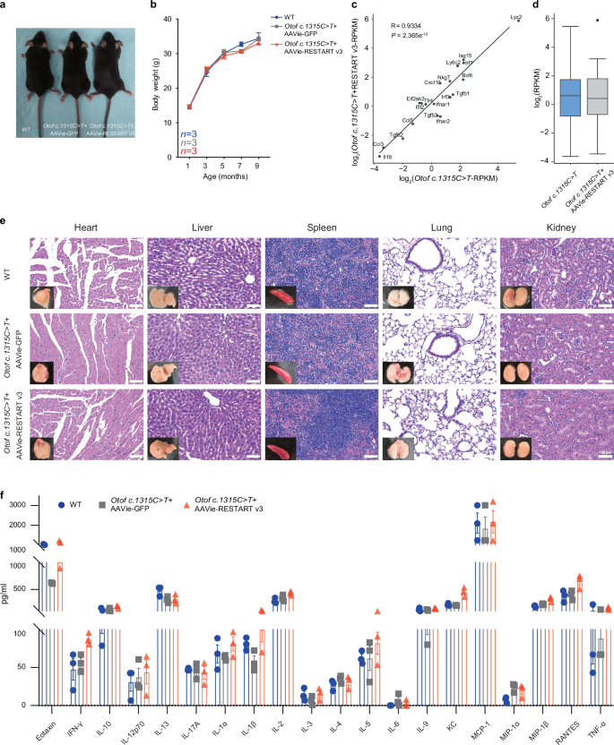 Fig. 7: Characterizing for RESTART v3 – AAV system safety evaluation.