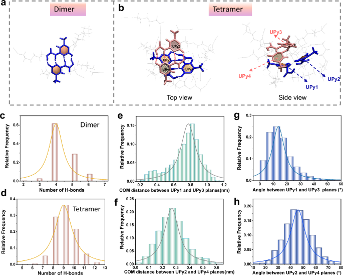 Fig. 5: Molecular dynamics simulations of UPy motifs.
