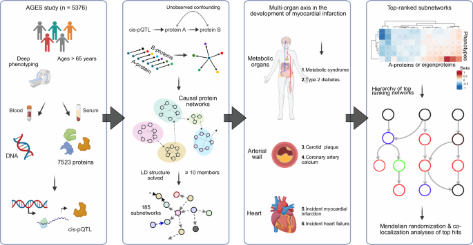 Fig. 1: A flowchart outlining the study overview and approach.