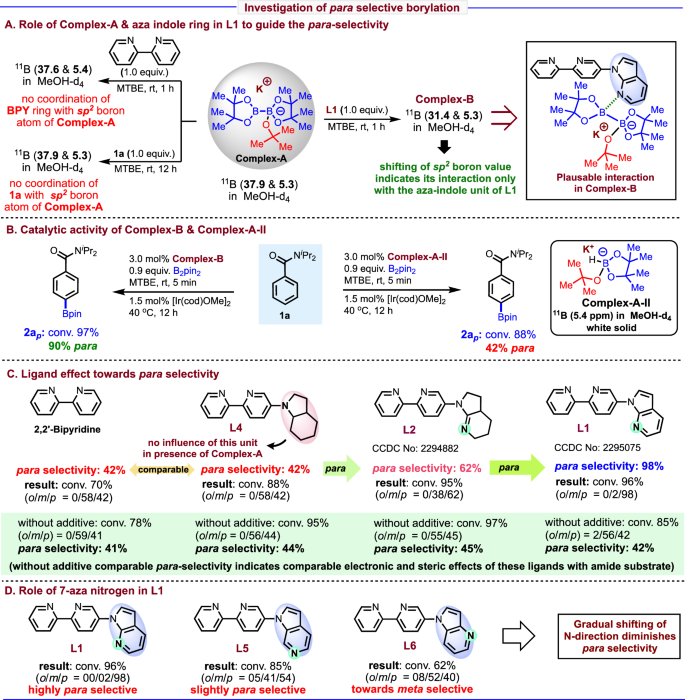 Fig. 7: Investigation of para selective borylation.