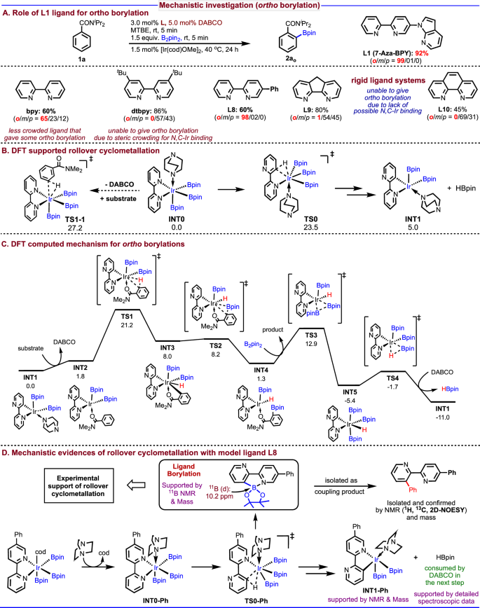 Fig. 9: Mechanistic investigation for ortho borylation.