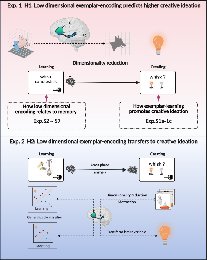 Fig. 1: Overview of experimental design.