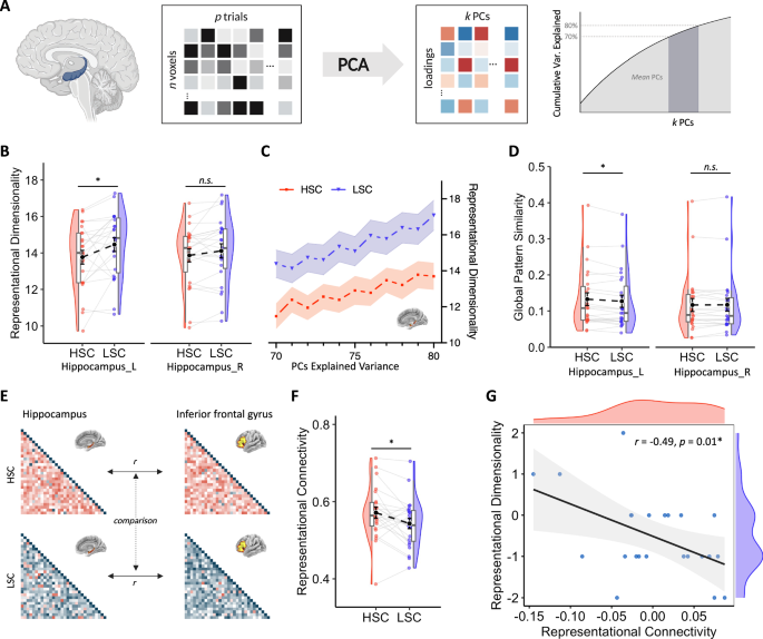 Fig. 3: Enhancement of subsequent creativity via lower-dimensional exemplar representations in the hippocampus.