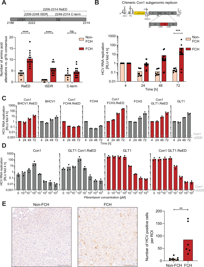 melanotan 2 side effects moles Abnormal moles seen developing in patients chasing perfect suntan by using  peptide melanotan-II
