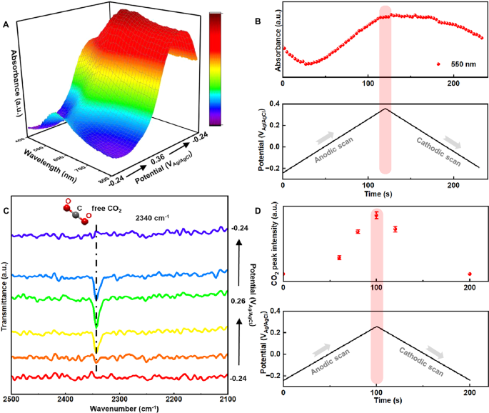 Fig. 4: In situ studies on CO₂ release at the Cu-EMAR interface.