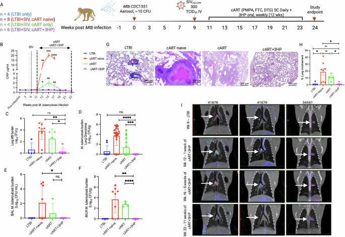 Fig. 1: Concurrent treatment with cART and 3HP improves clinical and microbiological attributes of Mtb/SIV co-infection.