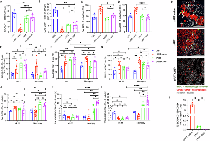 Fig. 2: Treatment of Mtb/SIV co-infected RMs with cART+3HP increases migration of TH17 and TH1* cells into pulmonary compartment compared to cART naive RMs.
