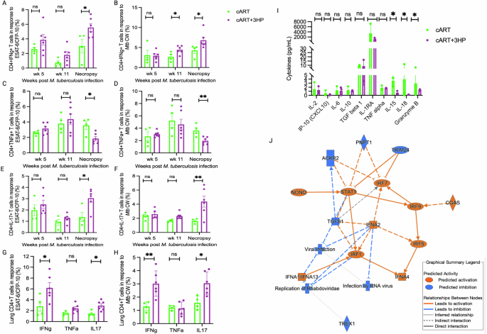 Fig. 4: cART + 3HP increases Mtb-specific TH1/TH17 response in pulmonary compartment of Mtb/SIV co-infected RMs.