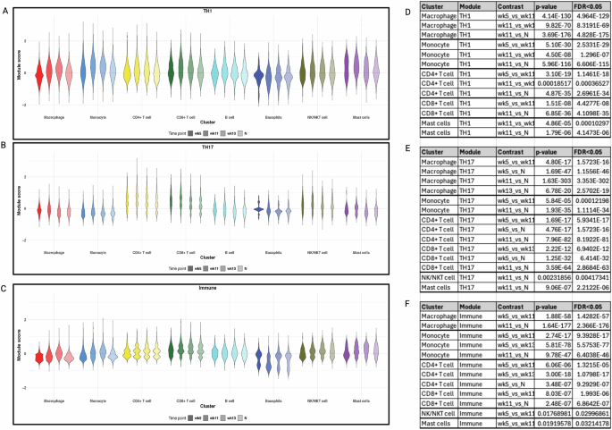 Fig. 6: Distribution of TH1, TH17, and immune activation-associated genes across cell clusters and time points.
