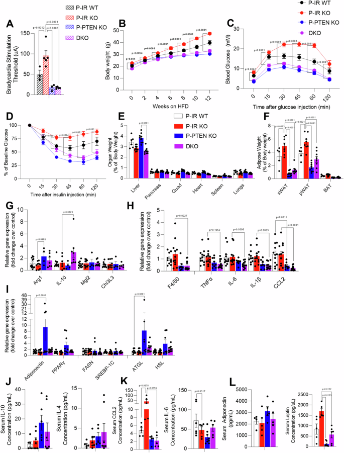 Fig. 6: Concomitant deletion of Pten in the vagal neurons of P-IR KO mice rescues HFD-induced metabolic defects.