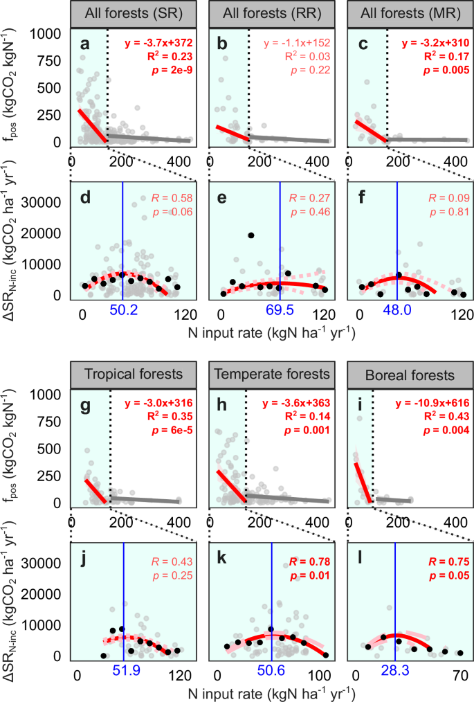 Fig. 3: Positive effects of experimental N input on soil respiration (SR) and its components, root respiration (RR) and microbial respiration (MR).