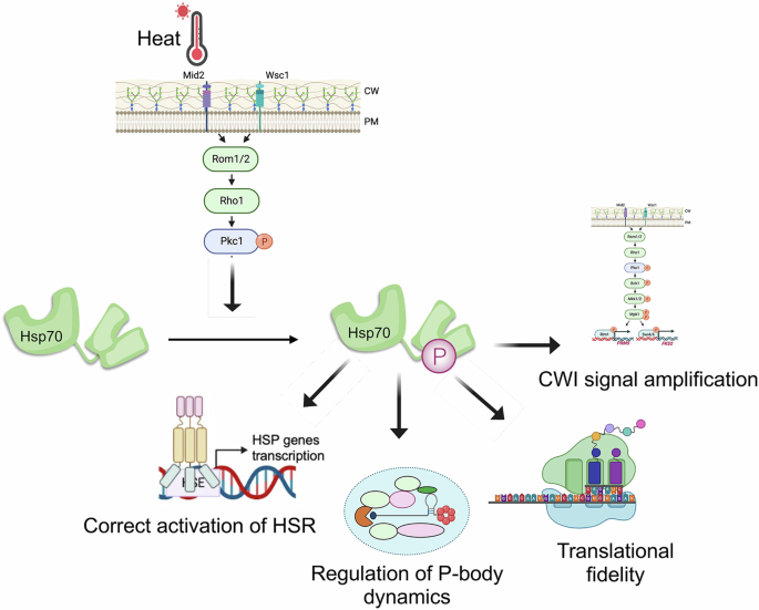 Fig. 8: Summary figure.