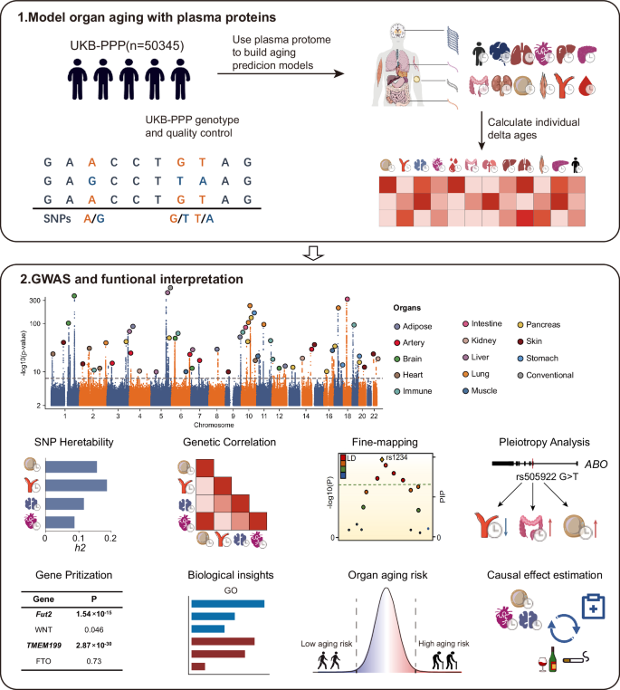 Fig. 1: Schematic of the study design.