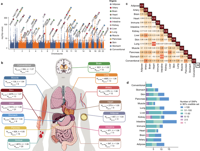 Fig. 3: GWAS results.