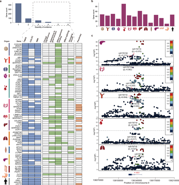 Fig. 4: Results of gene prioritization.