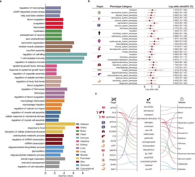 Fig. 5: Function annotation of organ aging genes.