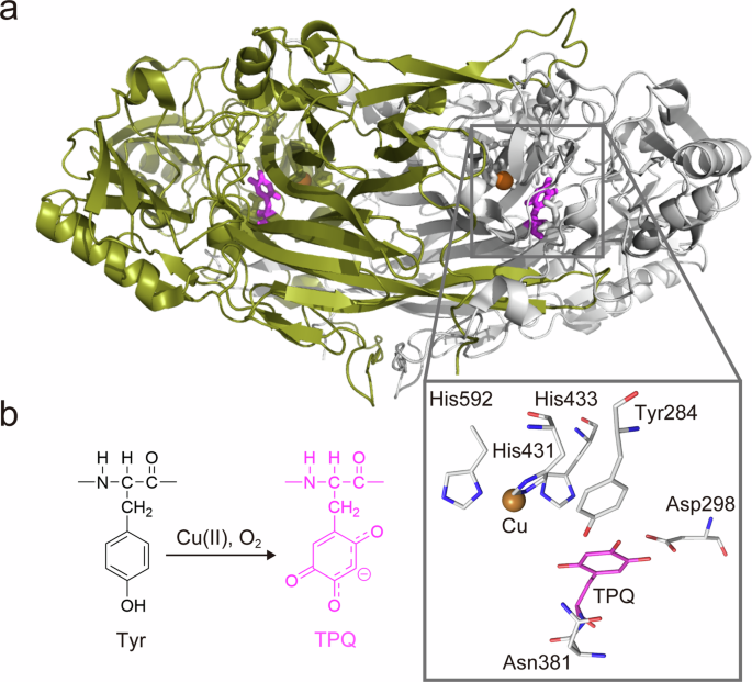 Fig. 1: Structure of AGAO.
