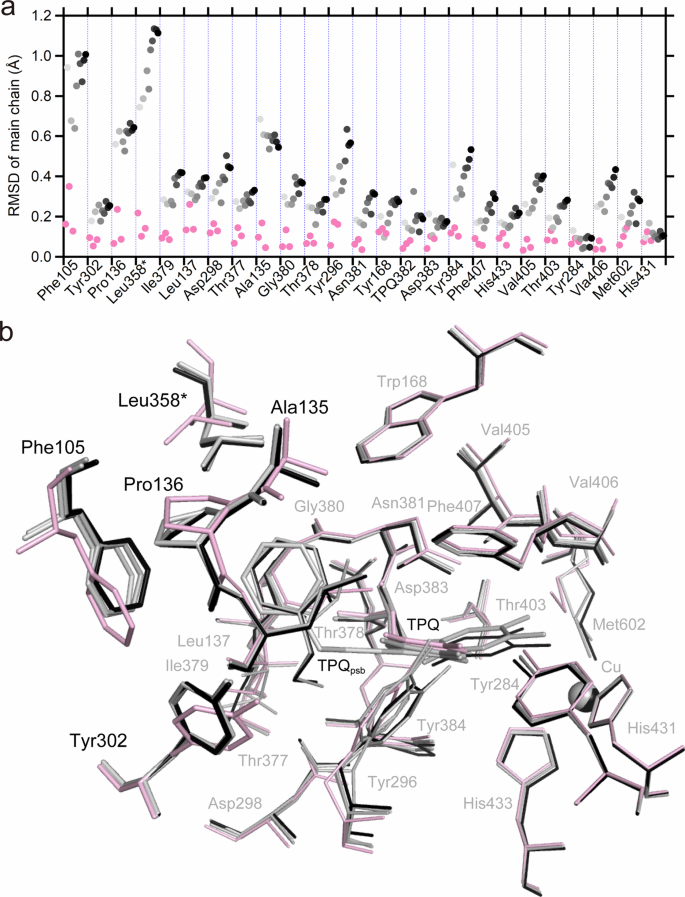 Fig. 7: Conformational changes in active site residues.