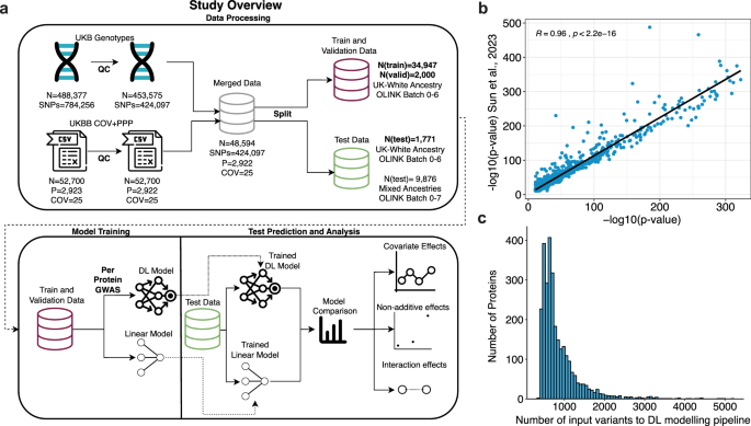 Fig. 1: Overview of the study and protein pre-GWAS results.