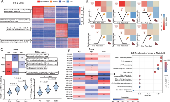 Fig. 2: Gene expression pattern across tissues and laying stages.