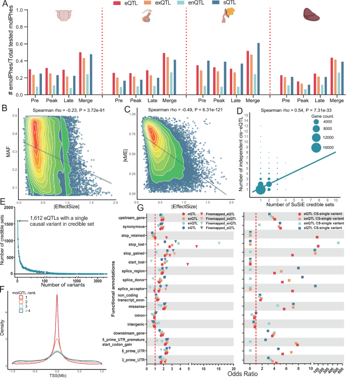 Fig. 3: Molecular QTL mapping.