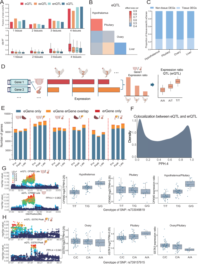 Fig. 4: Cross tissue regulation of molQTL.