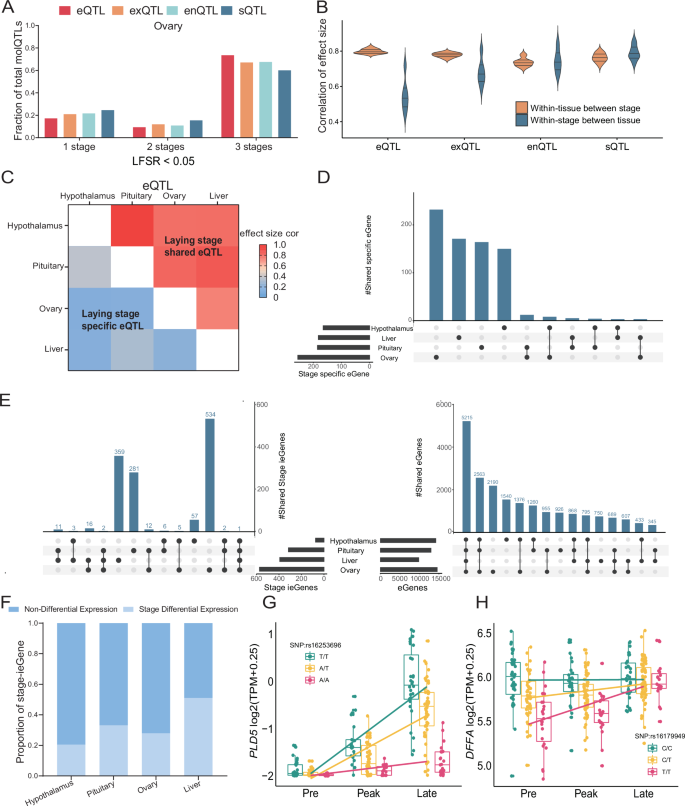 Fig. 5: Cross laying stage regulation of molQTL.