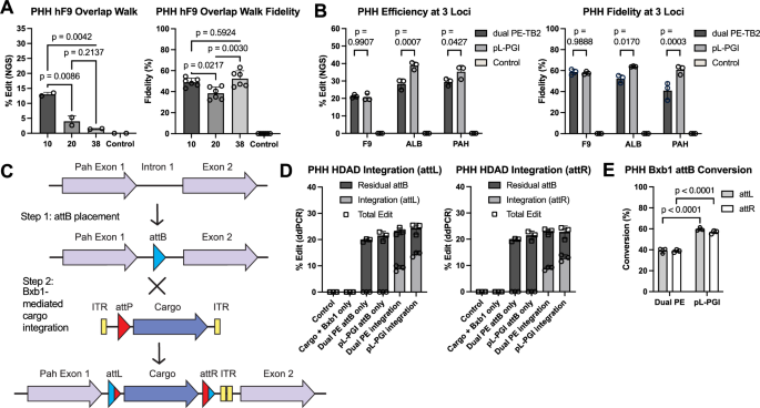 Fig. 5: pL-PGI attB placement optimizations across therapeutic loci and implementation of pL-PGI for Bxb1-mediated integration in PHH.