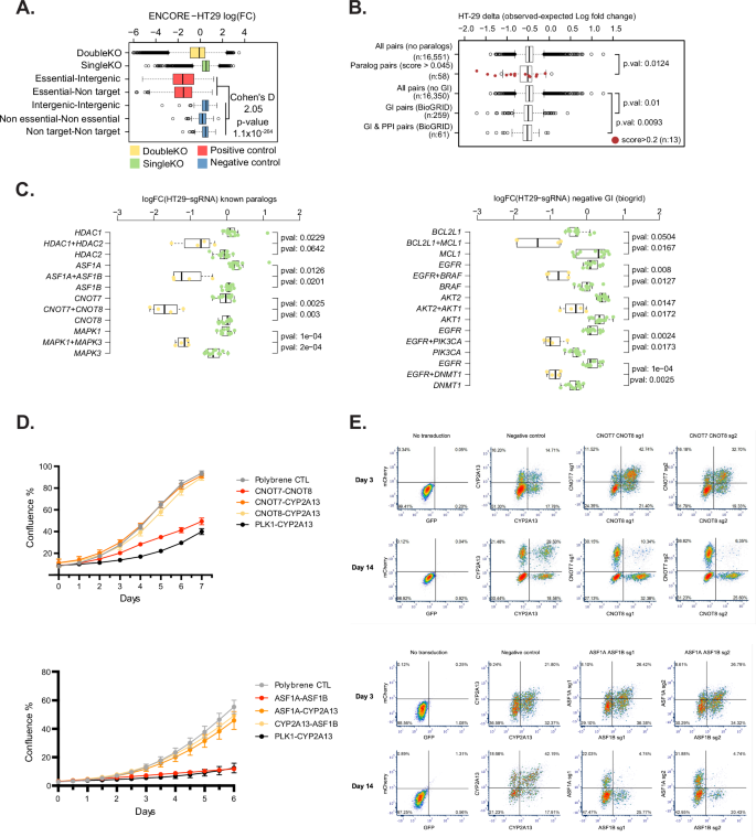 Fig. 3: Large scale genetic interaction screening identifies paralogs and known synthetic lethal pairs.