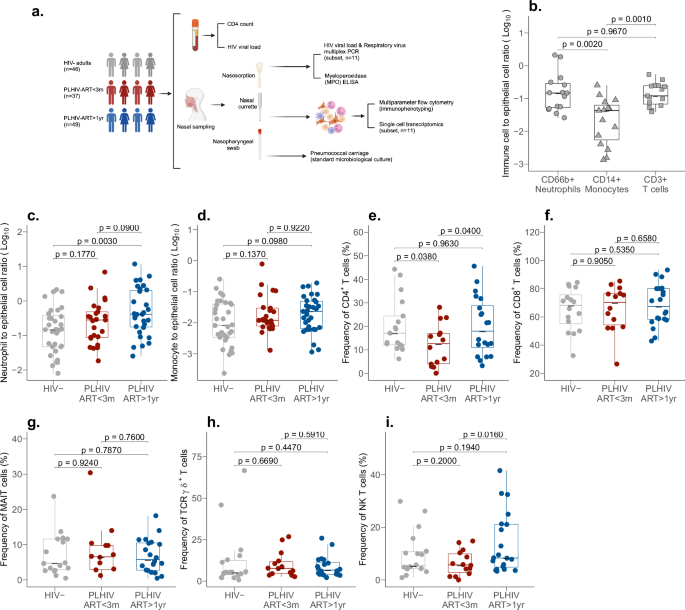 Fig. 1: Altered nasal immune cell composition in HIV infection.