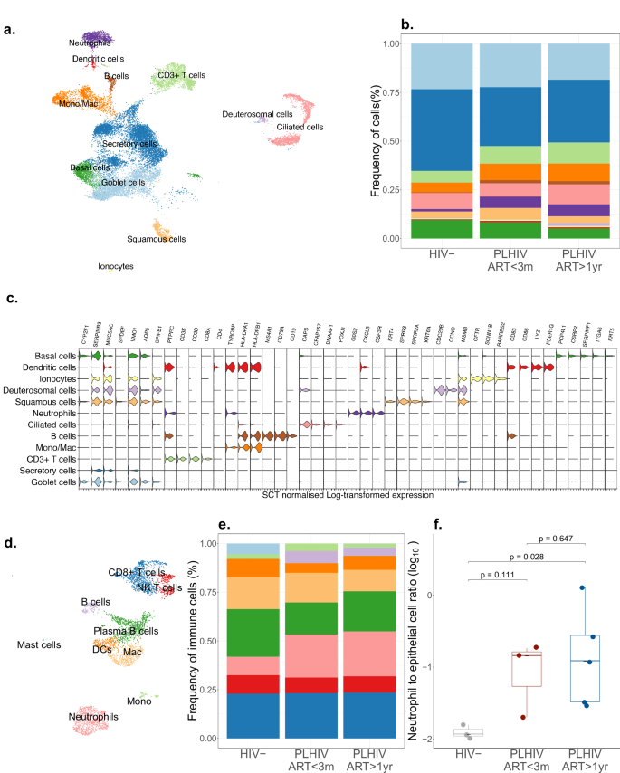 Fig. 3: Single-cell transcriptional profiling of nasal mucosal cells in HIV infection.