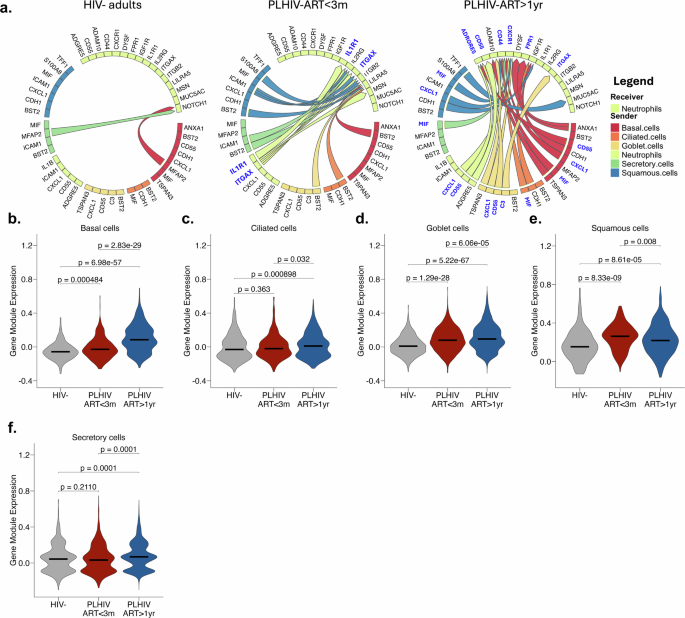 Fig. 4: Enhanced epithelial-neutrophil communication in PLHIV on long-term ART.