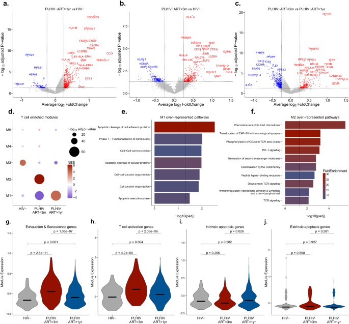 Fig. 6: Persistent HIV-associated transcriptional alterations in nasal T cells during long-term ART.