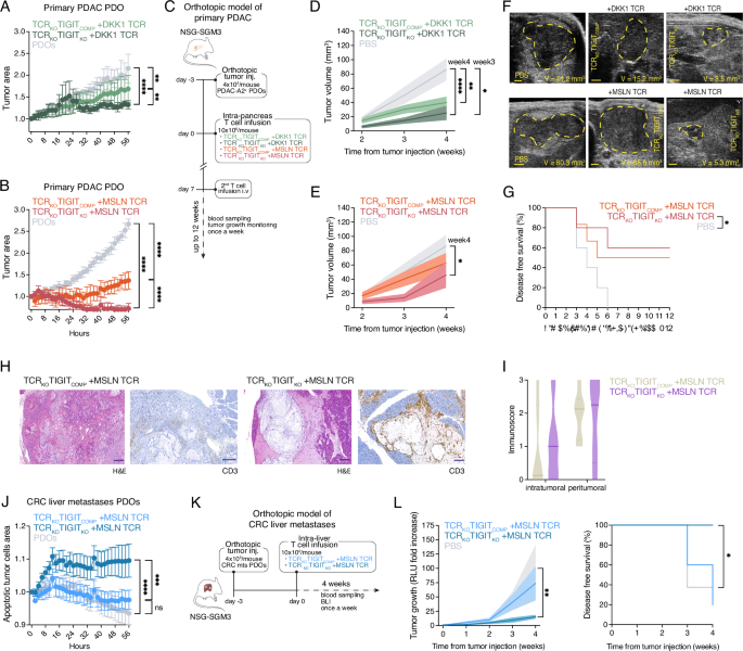 Fig. 5: TIGIT disruption enables low-avidity T cells with potent anti-tumor activity.