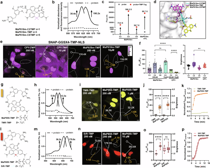 Fig. 2: Preparation of highly fluorogenic TMP-Tag ligands.
