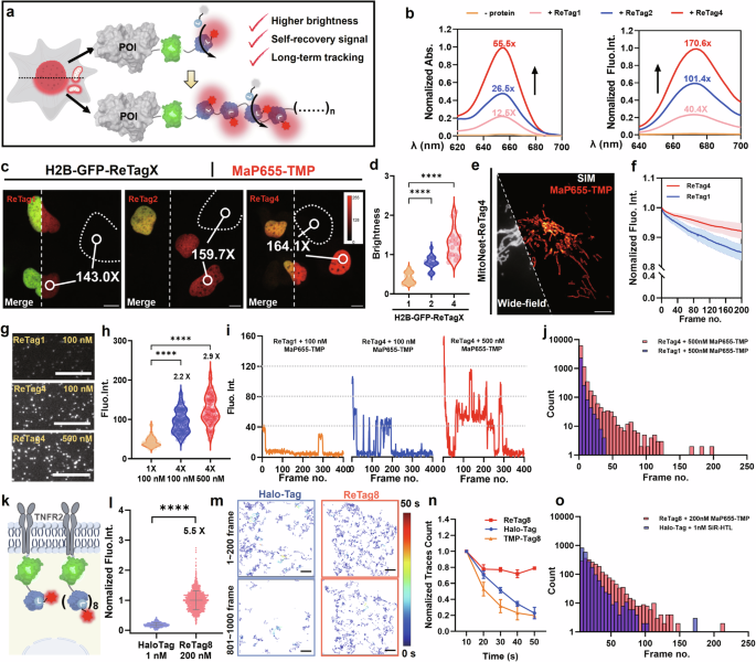 Fig. 6: Application of ReTagX for SRM.