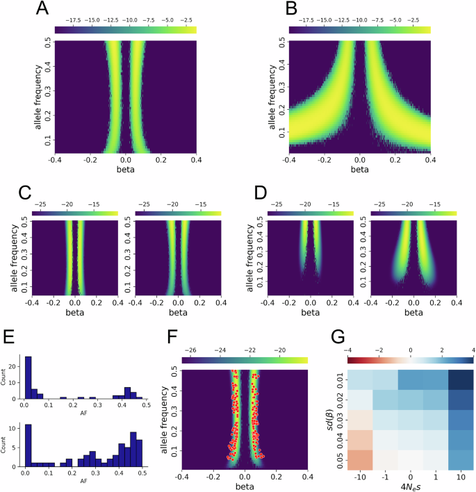 Fig. 3: Modeling the distribution of allele frequencies (AF) and true effect sizes (
                        $$\beta$$
                        
                          β
                        
                      ) of novel non-additive associations using power calculations and population genetics.
