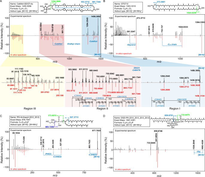 Fig. 2: MS2 spectra and fragmentation pattern of four typical archaeal lipids.