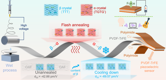 Fig. 1: Preparation and application of PVDF-TrFE with high piezoelectricity properties.