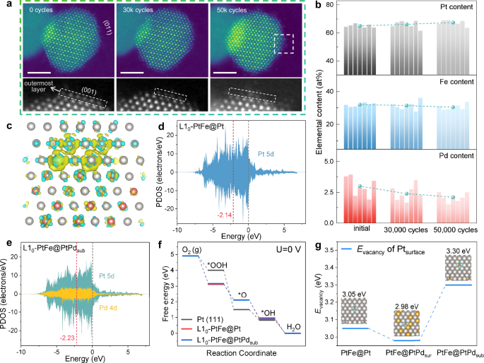 Fig. 5: Identical location STEM (IL-STEM) results and mechanistic investigation.