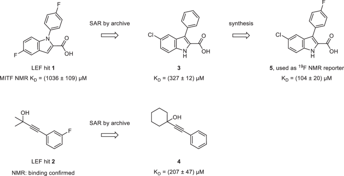 Fig. 4: Fragment screening hits and close analogs.